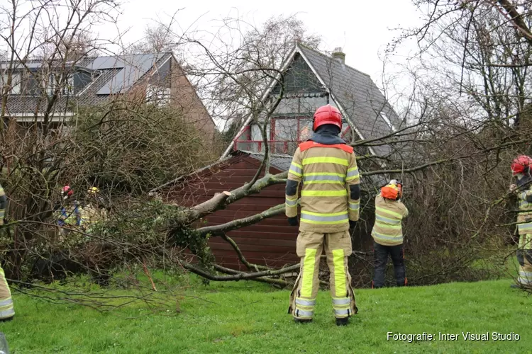 Storm geluwd, tot jaarwisseling grijs met lichte regen