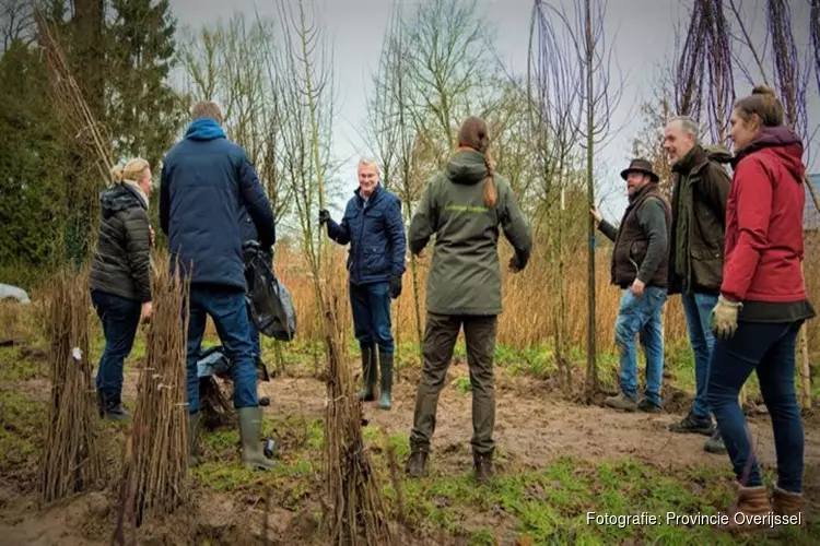 Natuur Overijssel is 21.000 bomen rijker