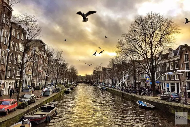 Afname vogelpopulaties in stedelijk gebied