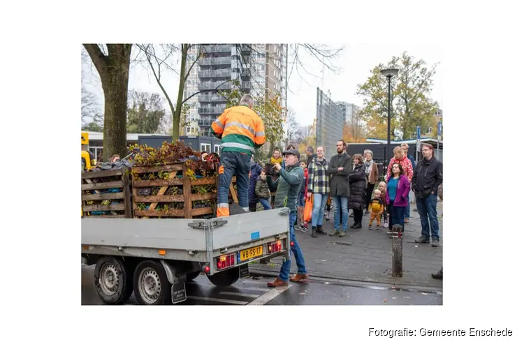 Bomenactie geslaagd: 3.000 inwoners halen een gratis boompje op