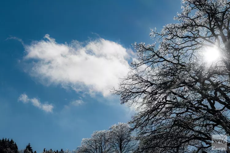 Komende week regelmatig zonneschijn met frisse nachten