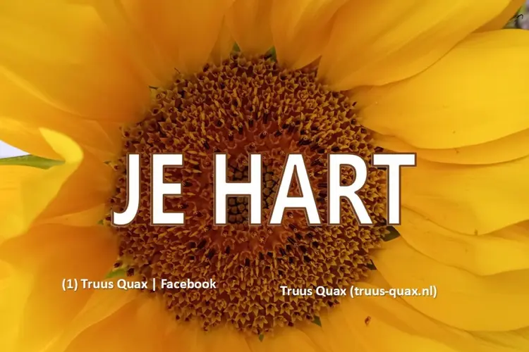 Je hart