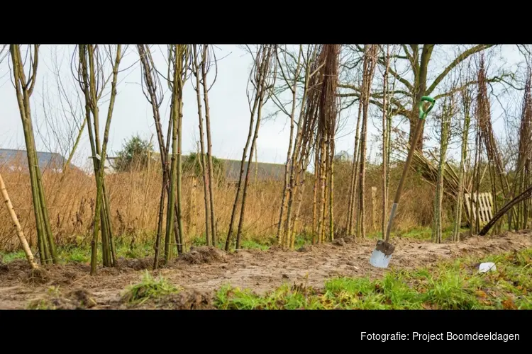 Boomdeeldagen Overijssel: Meer dan 70.000 bomen en struiken erbij