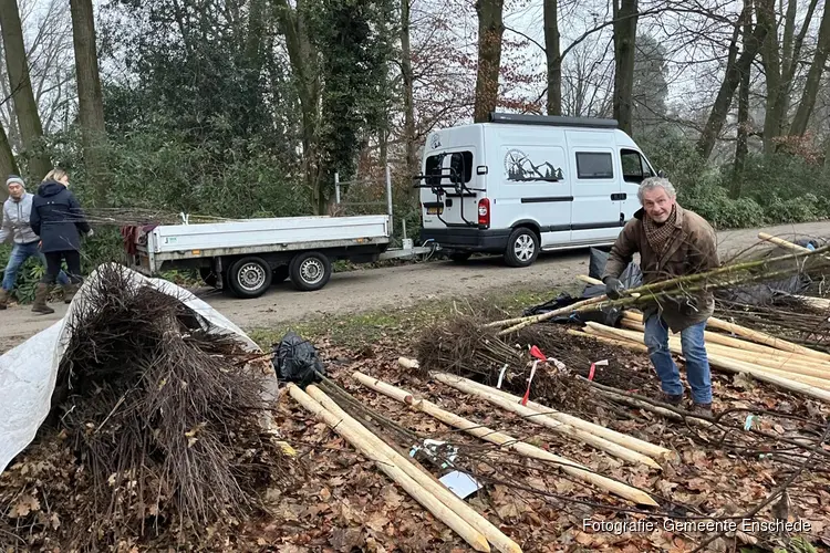 Enschede wordt groener: 5696 bomen en struiken erbij